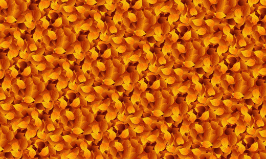 1023359 (a): :1920x1145